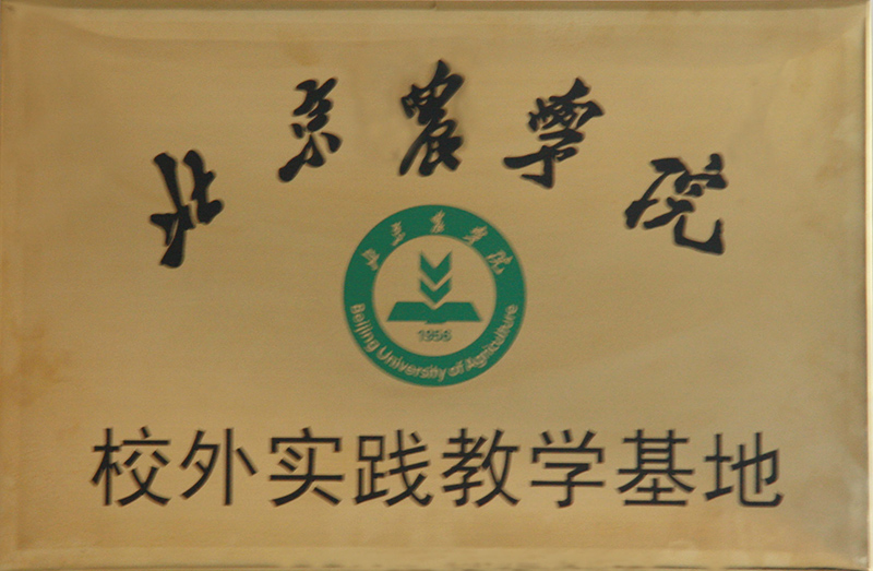 �s�u�C��